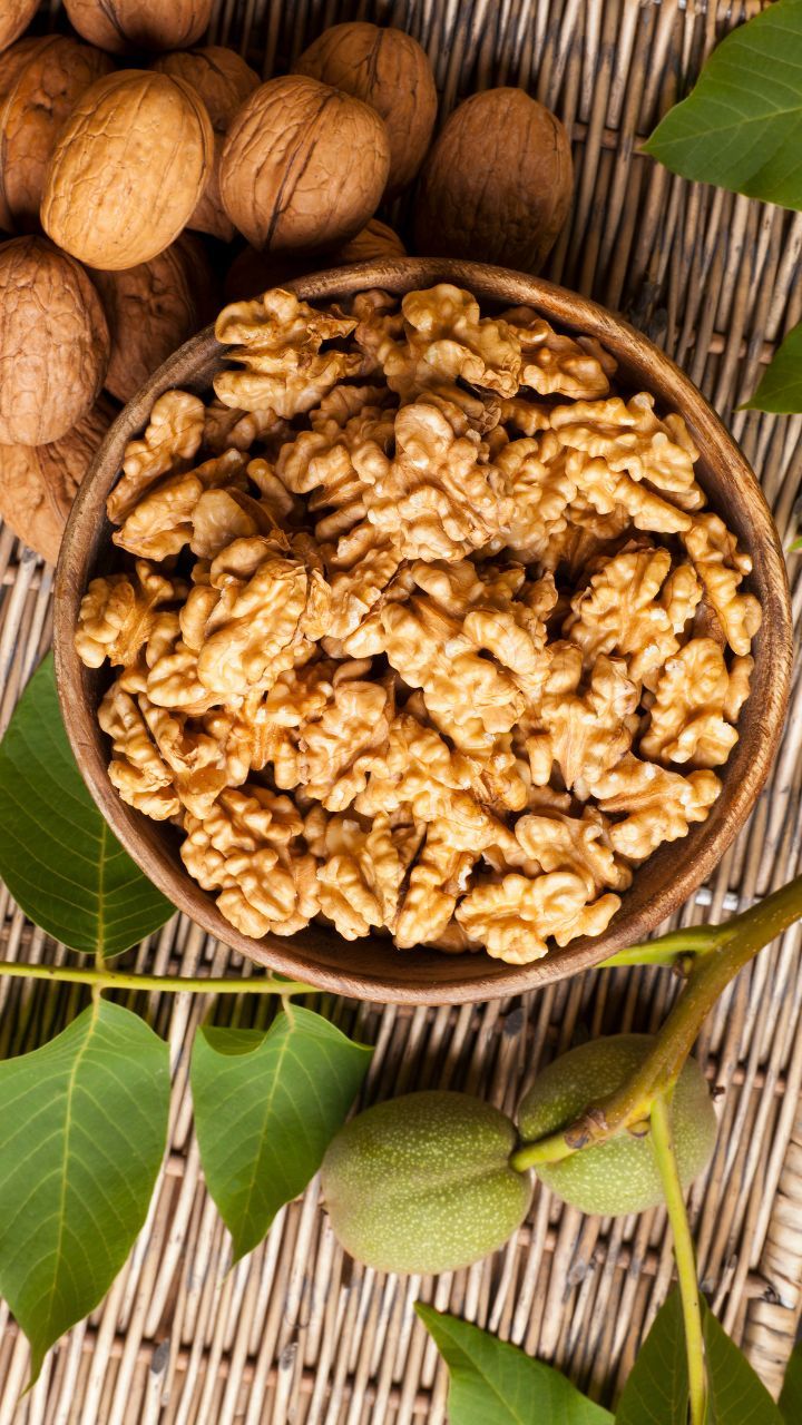 Global Market Trends & Demand Forecast for Walnuts and Walnut Kernels